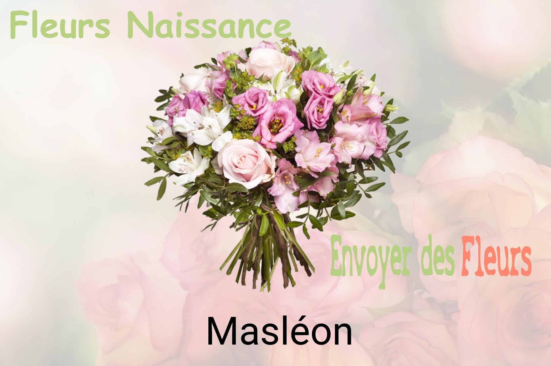 Bouquet de fleurs de naissance livré à Masléon